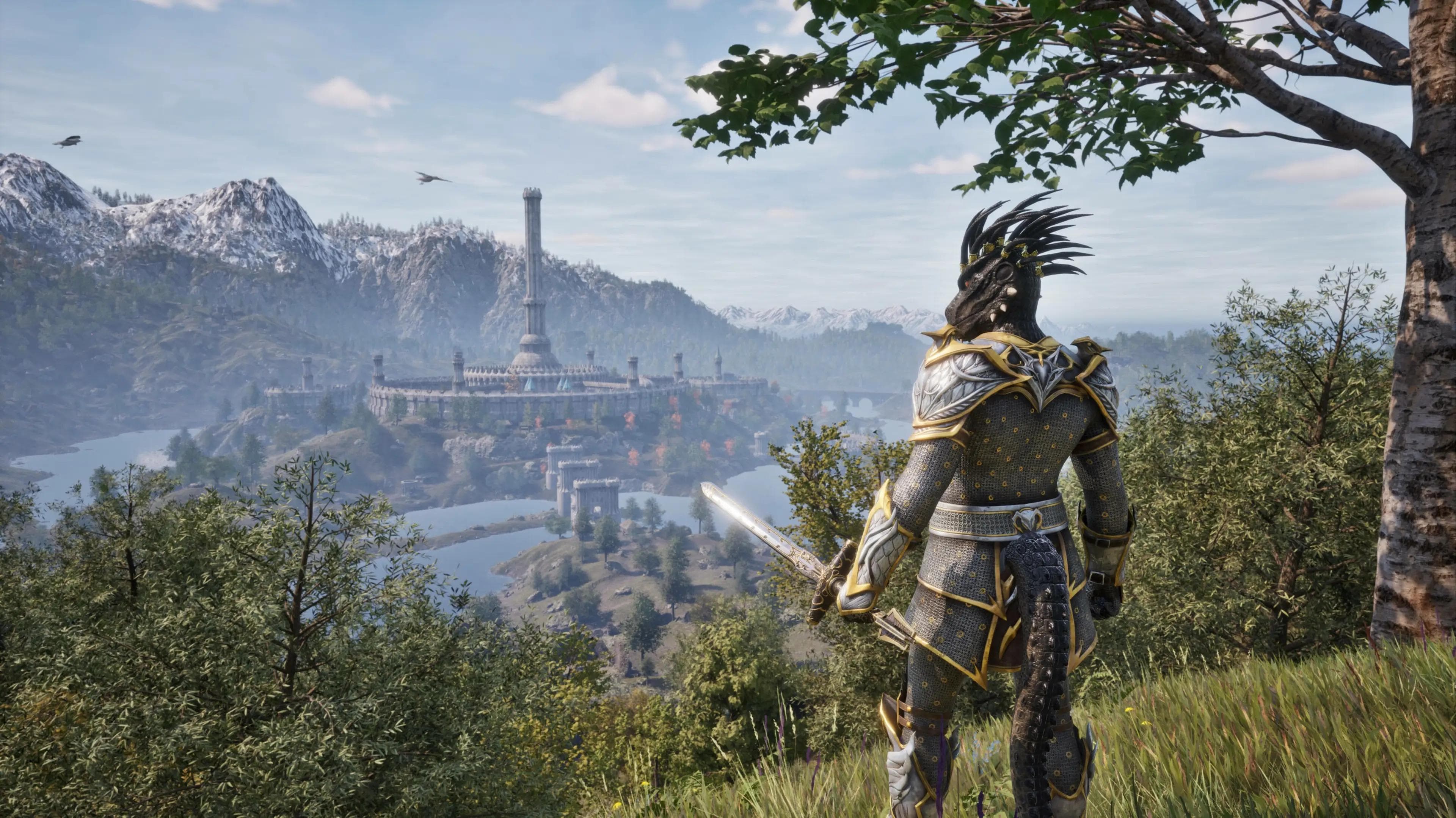 The Elder Scrolls 6 pode chegar antes de 2030